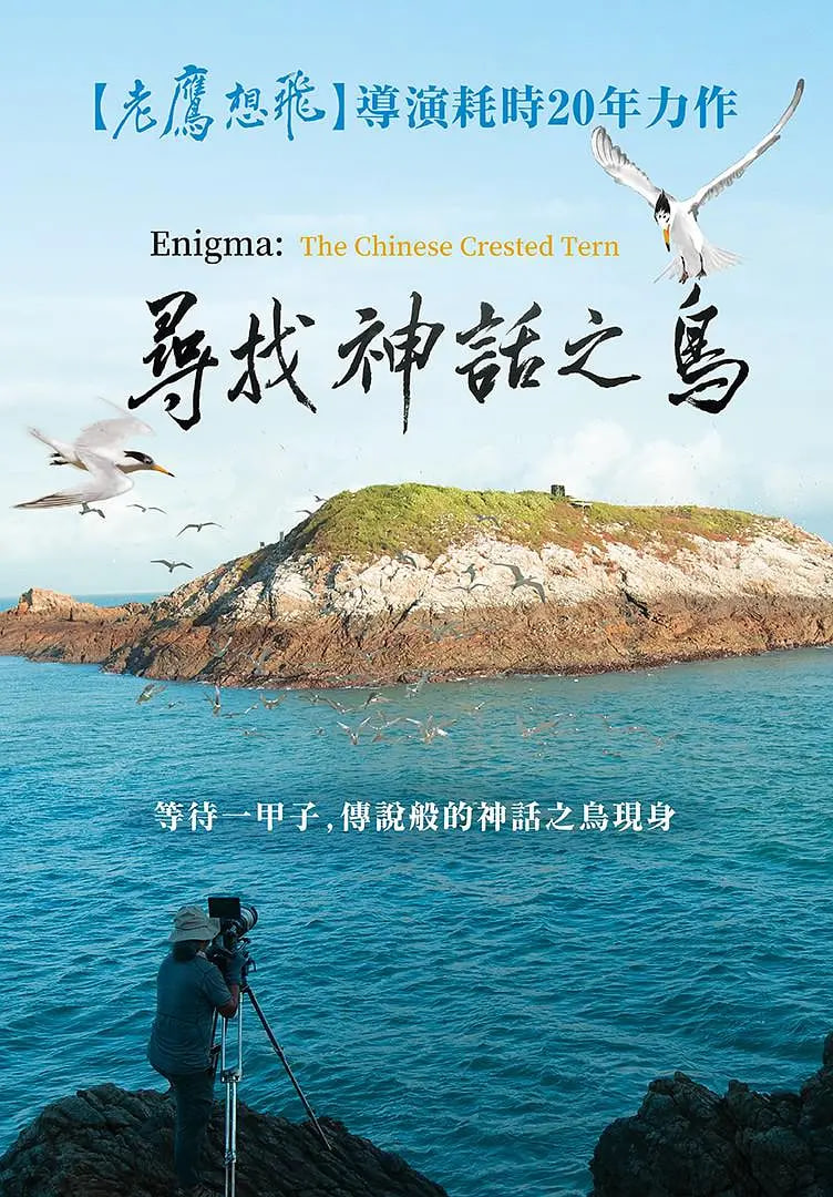 寻找神话之鸟(全集)