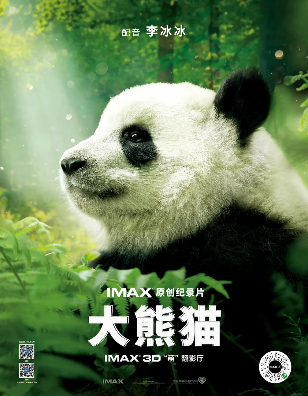 大熊猫(全集)